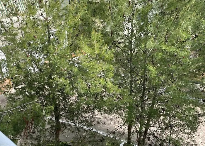 Apartamento Homes Point Golem (Tirana)